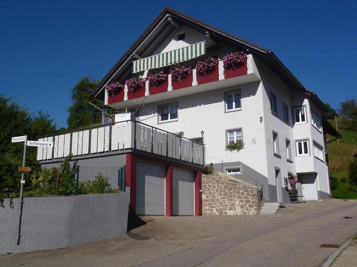 Kleines Wiesental Ferienwohnung Am Geissberg מראה חיצוני תמונה