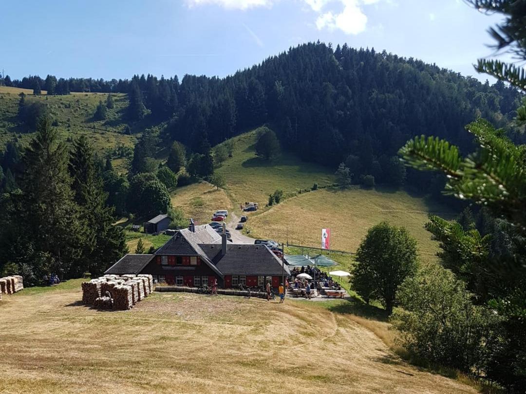 Kleines Wiesental Ferienwohnung Am Geissberg מראה חיצוני תמונה