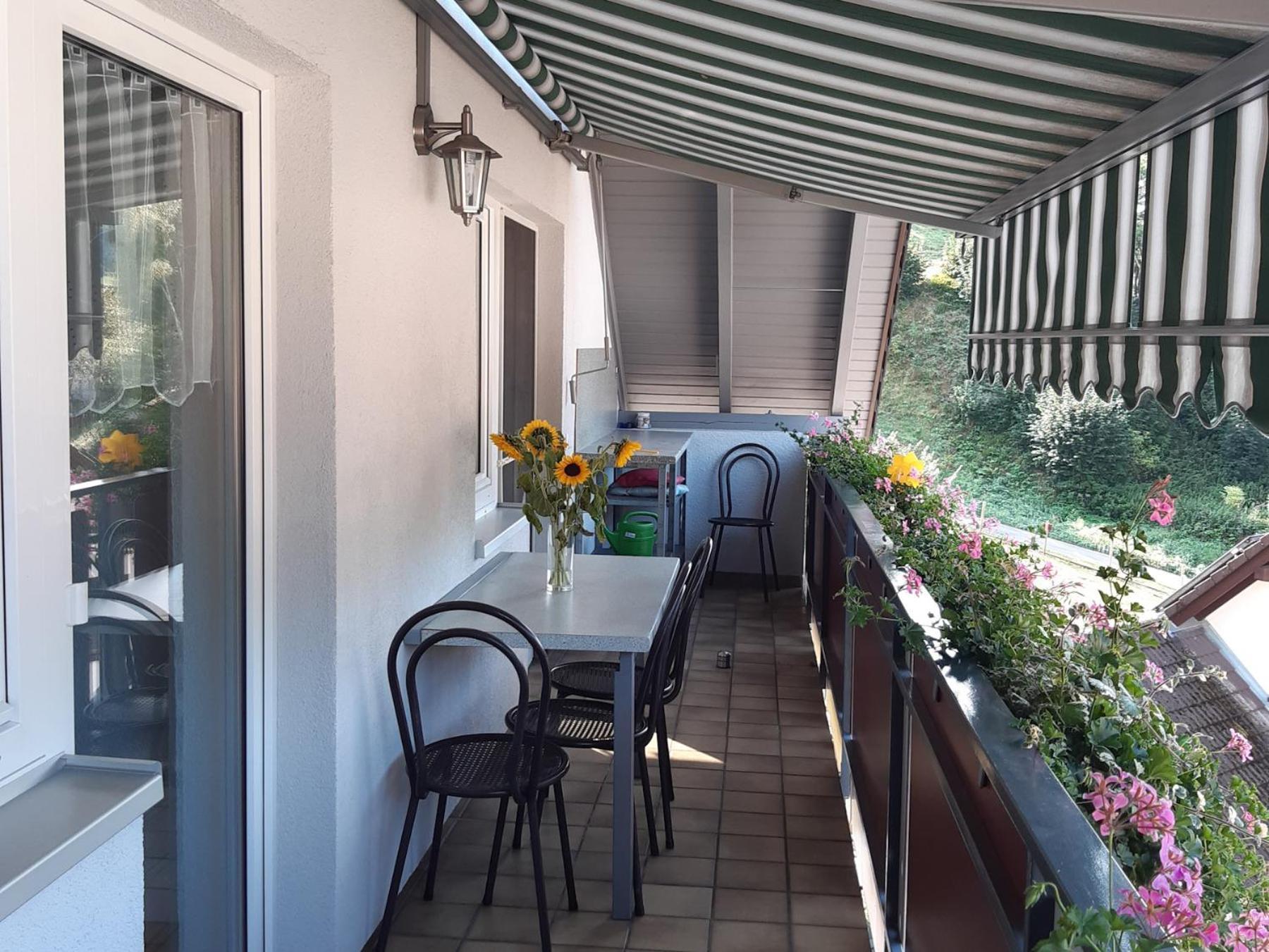 Kleines Wiesental Ferienwohnung Am Geissberg מראה חיצוני תמונה